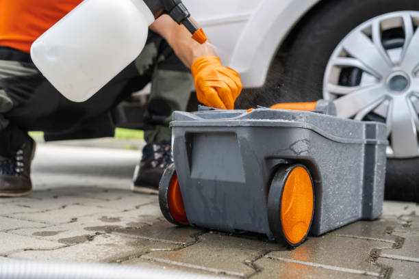 Trusted Blythe, CA Tree Removal Experts
